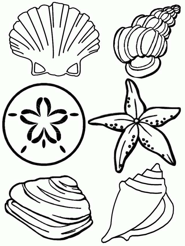 Sea Animals Coloring Pages Realistic Sea Animal Coloring Pages - Coloring  Home