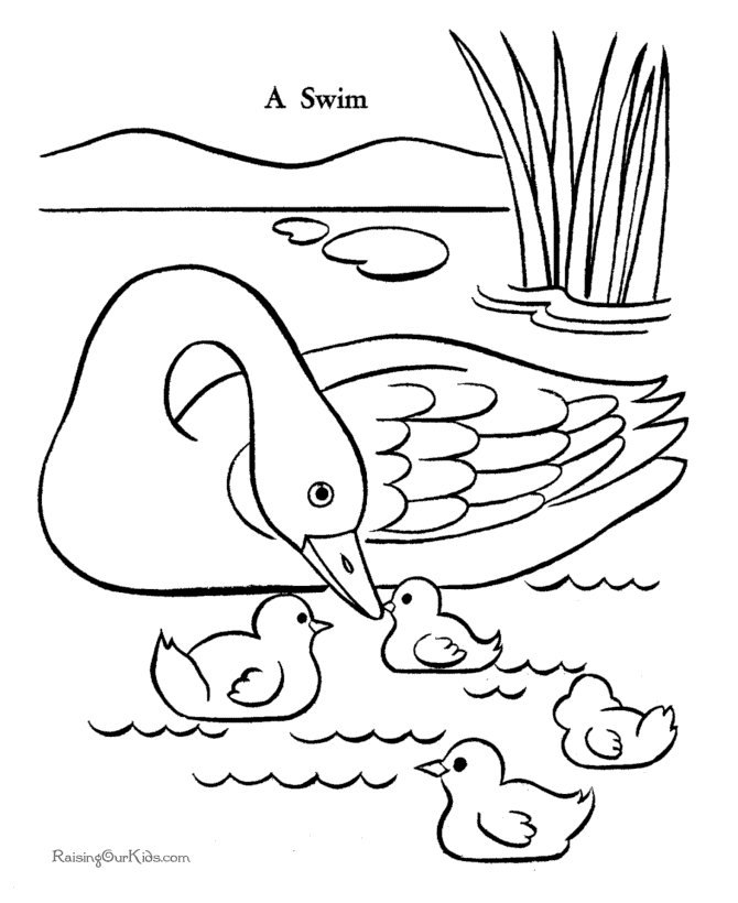 t of a duck Colouring Pages