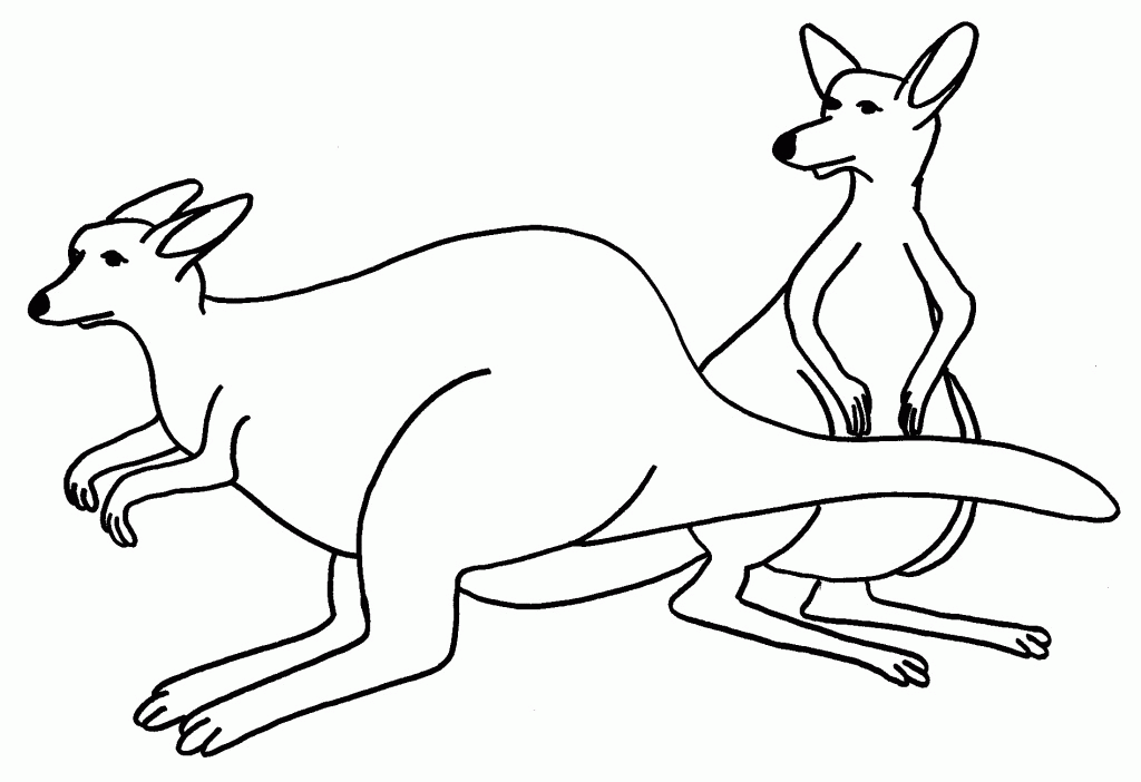 Kangaroo | free coloring pages For kids
