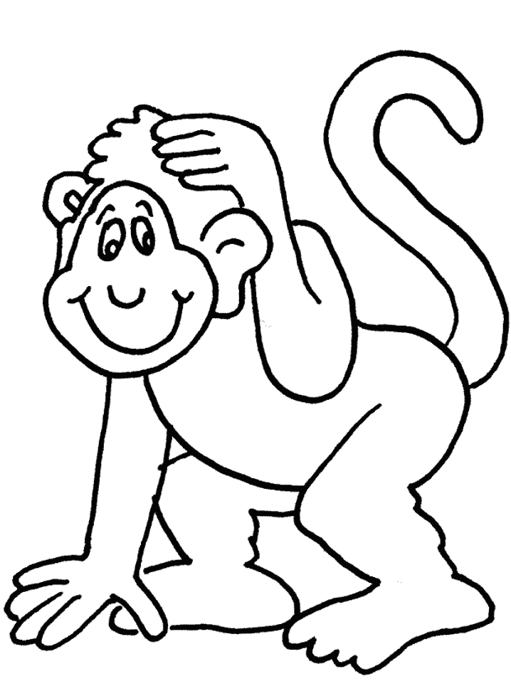 monkey and turtle Colouring Pages