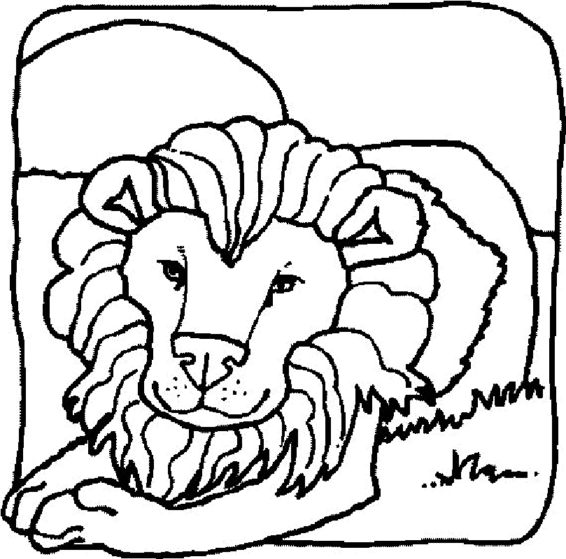 Full Size Lions Coloring Pages 2 - Free Printable Coloring Pages 