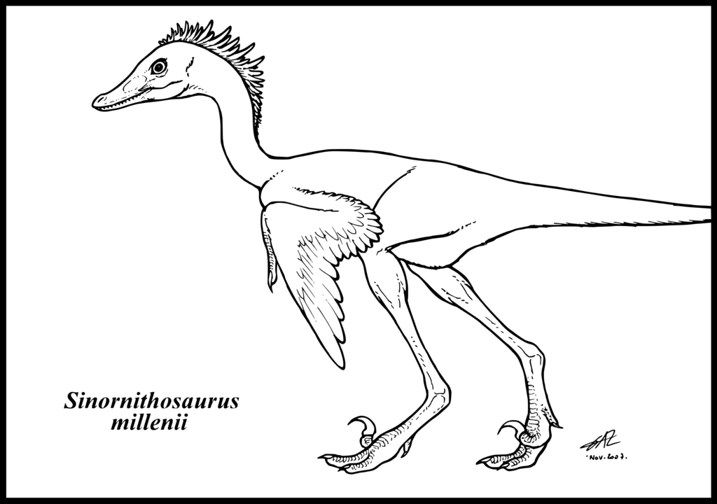 Sinornithosaurus millenii by zakafreakarama on deviantART