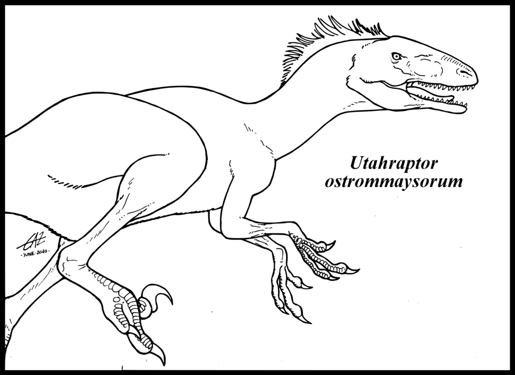 Utahraptor ostrommaysorum by zakafreakarama on deviantART