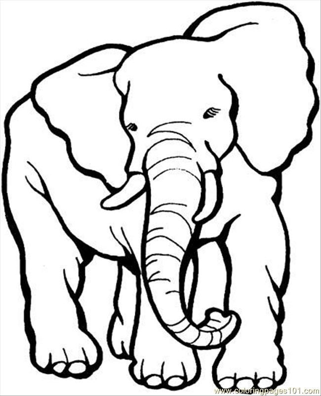 Coloring Book Print Outs | Animal Coloring Pages | Kids Coloring 