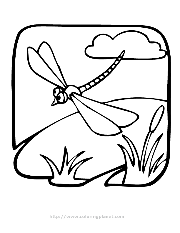 dragonfly printable coloring in pages for kids - number 1383 online