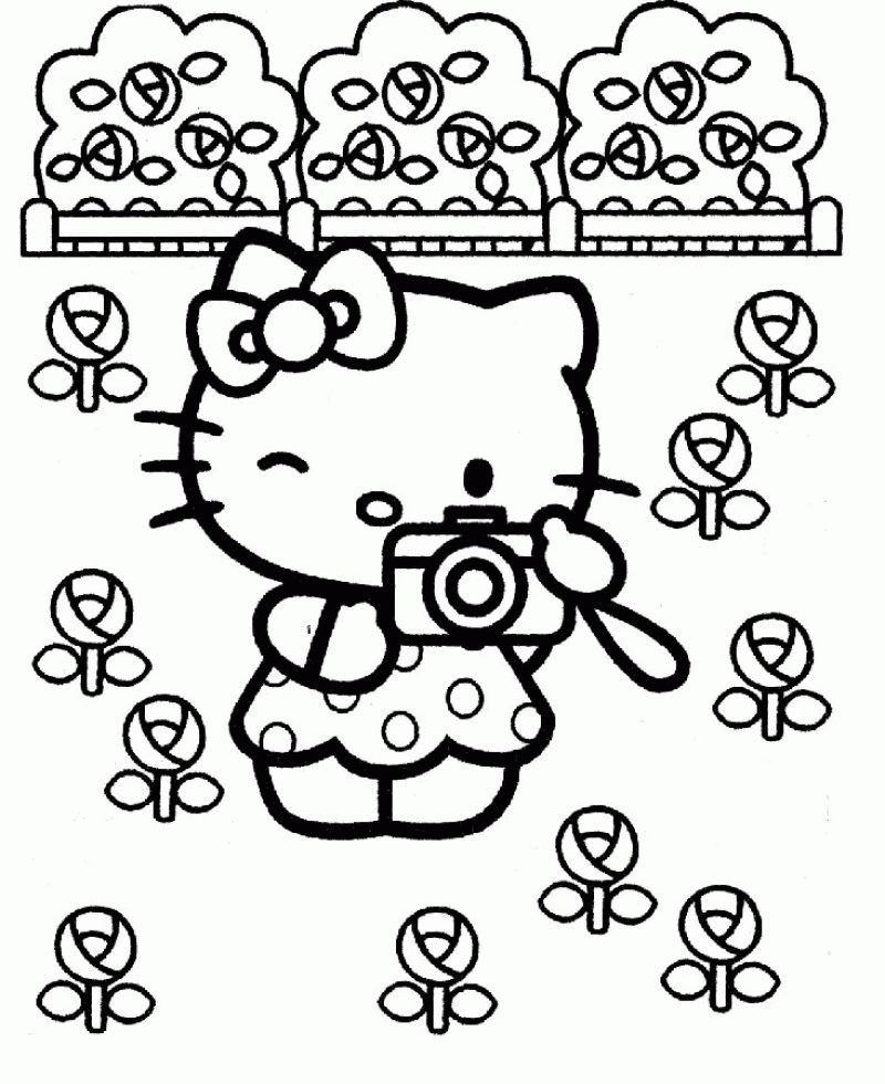 Hello Kitty Taking Pictures In The Park Coloring Page - Kids 