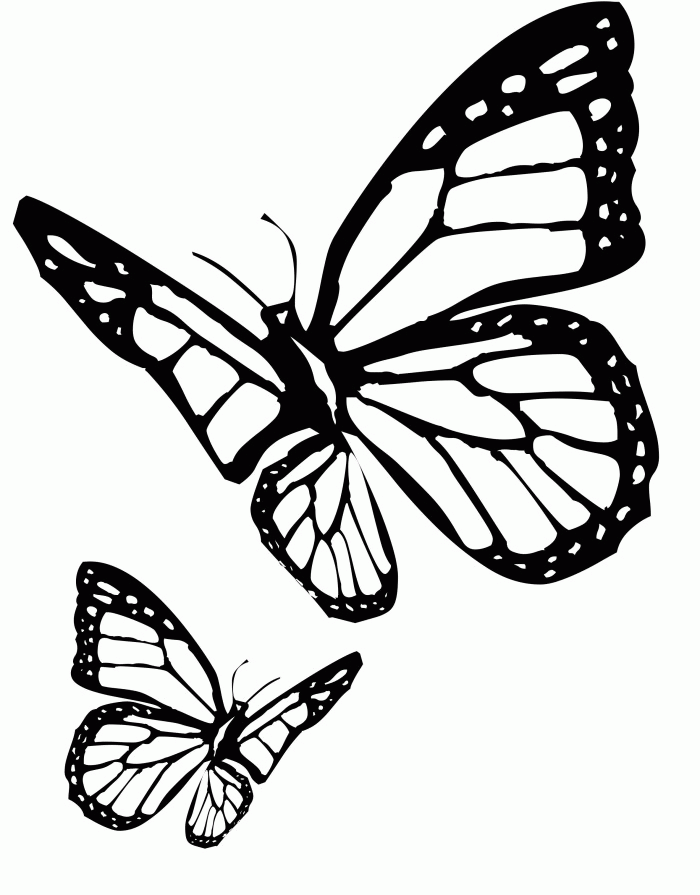 Cartoon Butterfly Images - Coloring Home
