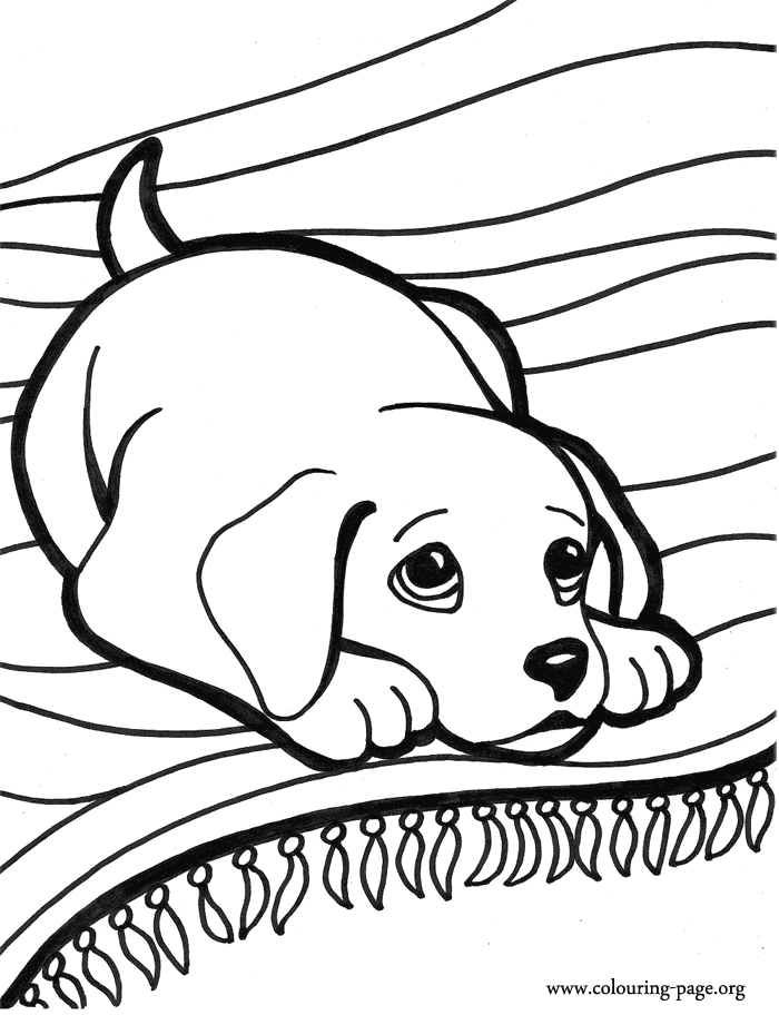 Coloring pictures of puppies