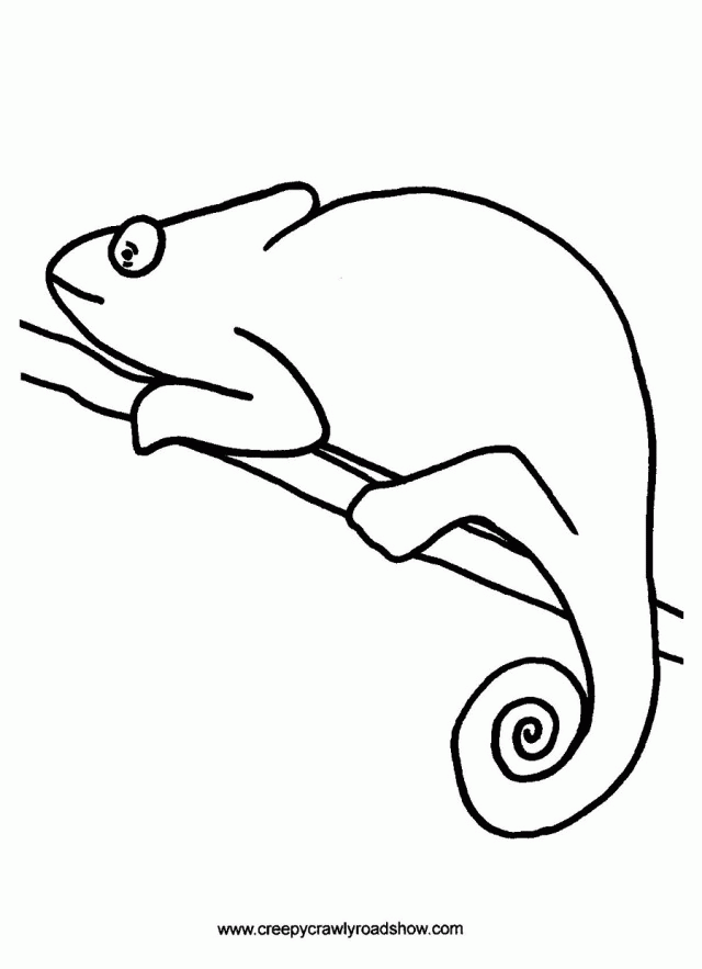 Mixed Up Chameleon Coloring Page Coloring Home