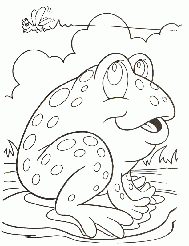 Cute Frog Coloring S For Drawing X