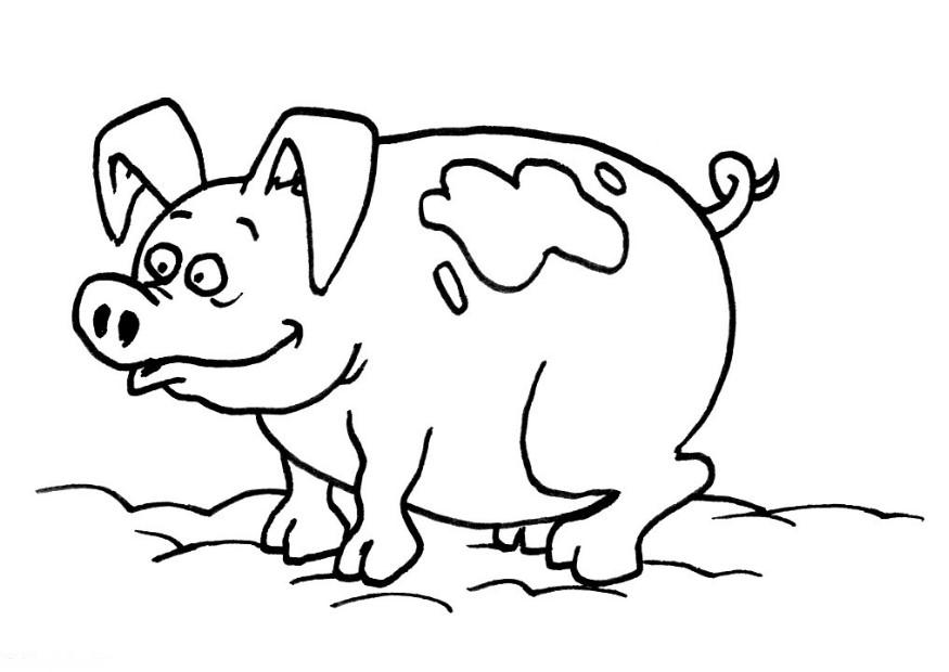 coloring pages of cute pigs : Printable Coloring Sheet ~ Anbu 