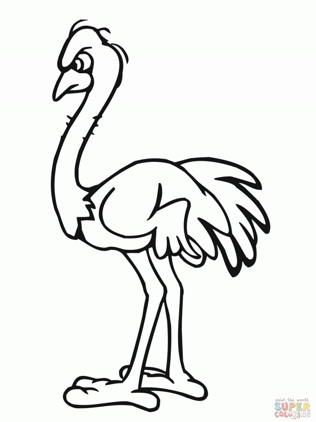 Angry Ostrich Coloring Online Super Coloring 282776 Ostrich 