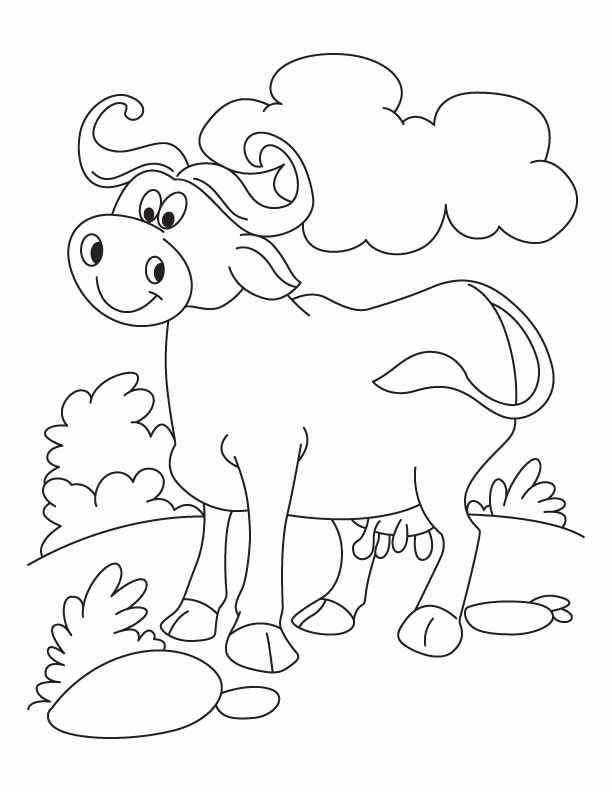 Water Buffalo Coloring Page - Coloring Home