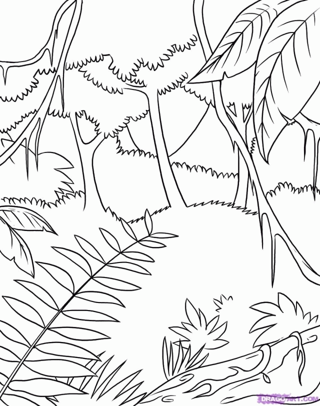 How To Draw A Rainforest Step By Step Landscapes Landmarks 214526 