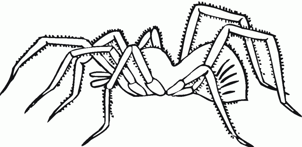 children spider Colouring Pages (page 3)