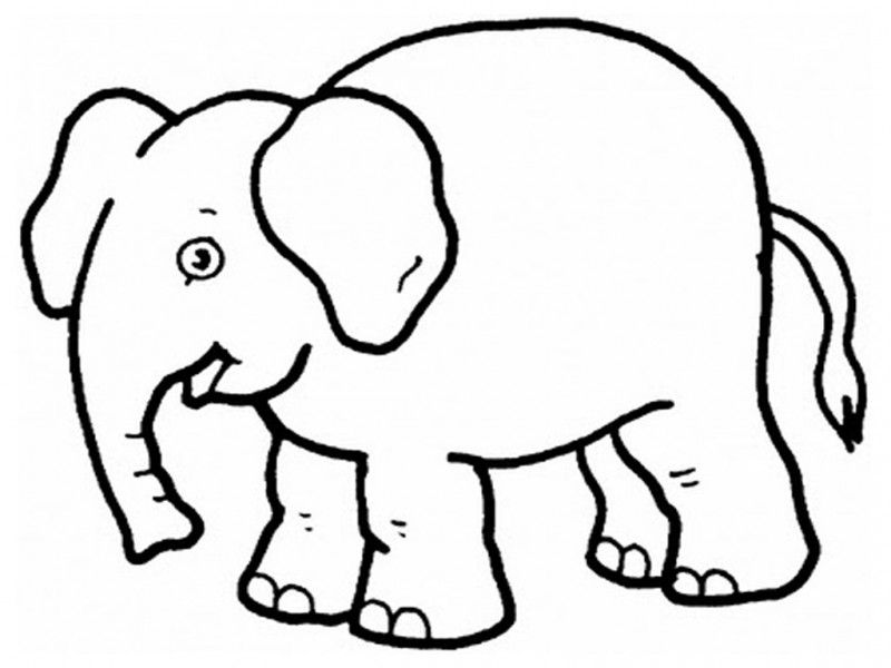 Coloring Pages An Elephant - HD Printable Coloring Pages