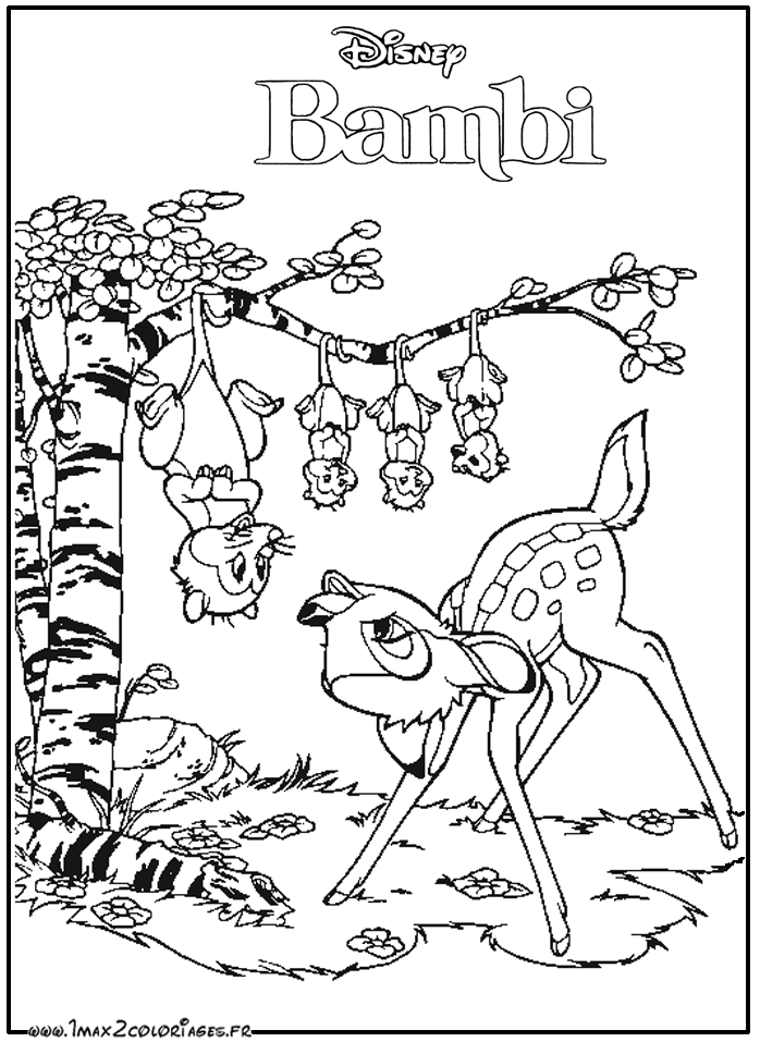 814 Animal Vanessa Hudgens Coloring Pages for Adult