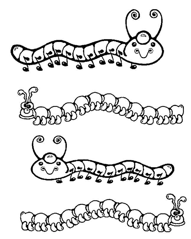 Caterpillar Coloring Pages & Coloring Book