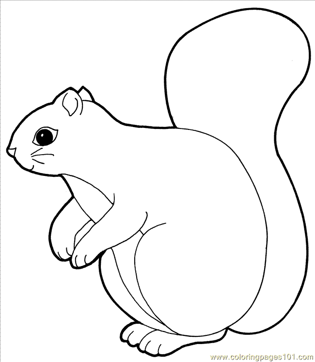 squirrels Colouring Pages (page 2)