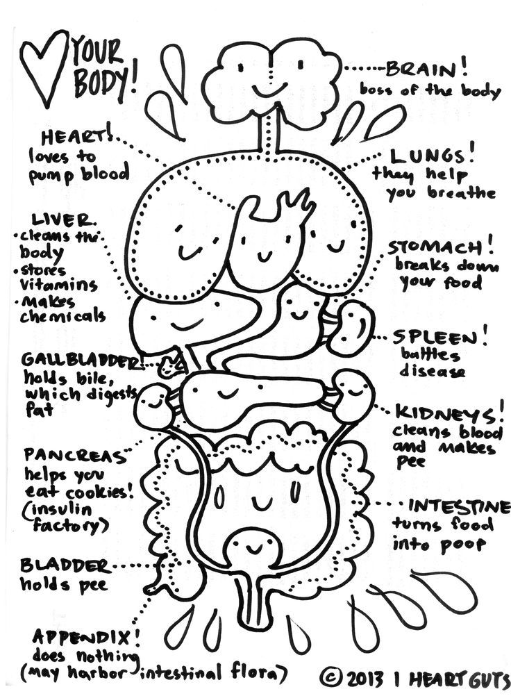 Free Anatomy And Physiology Coloring Pages - Coloring Home