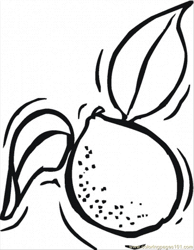 Coloring Pages Lemon 9 (Food & Fruits > Lemons and Limes) - free 