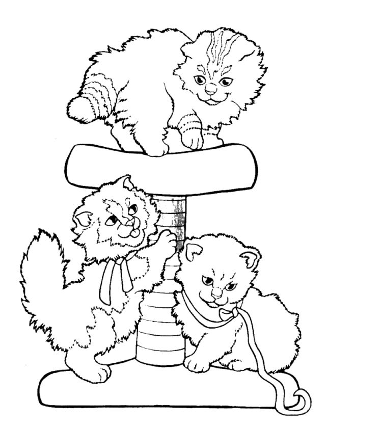 coloriage-chat-2_gif dans Coloring Cats | Free coloring pages