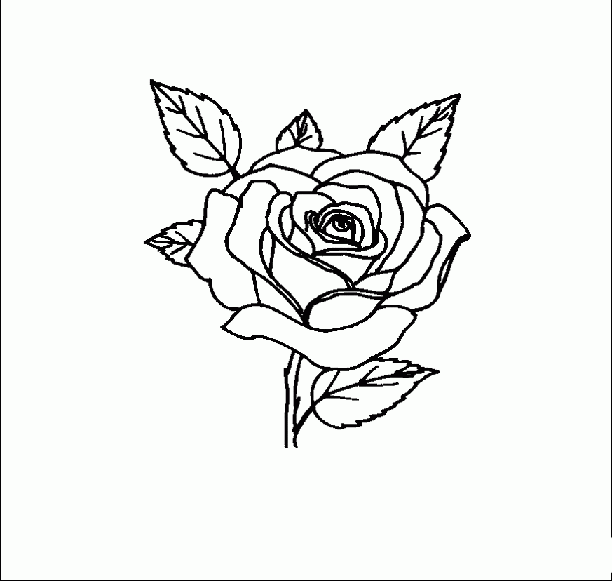 Search Results » Coloring Pages Of A Rose
