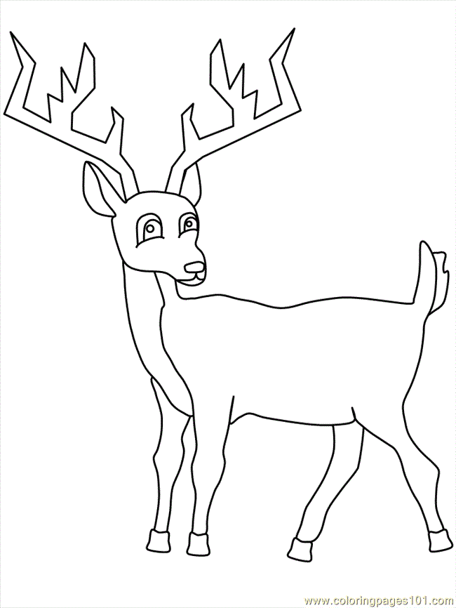 Coloring Pages Deer (Mammals > Deer) - free printable coloring 