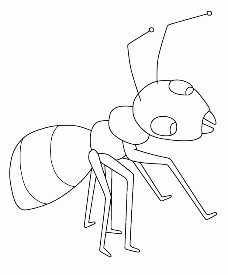 Big Ant Coloring Pages - Animal Coloring Coloring Pages : Pin Coloring