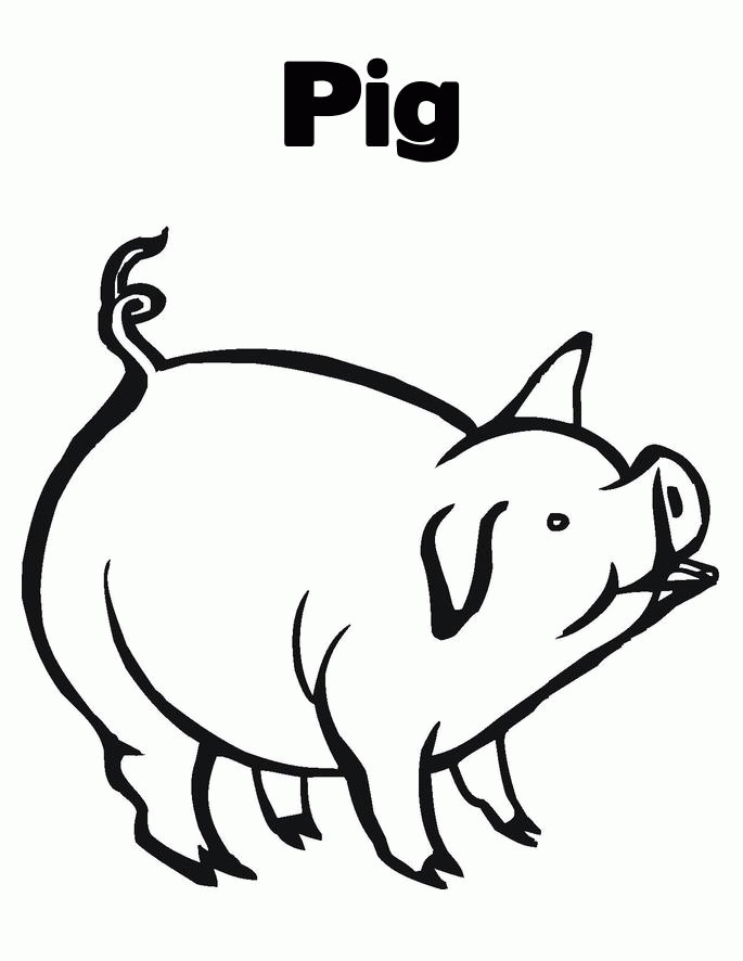 Printable Pictures Of Pigs Coloring Home