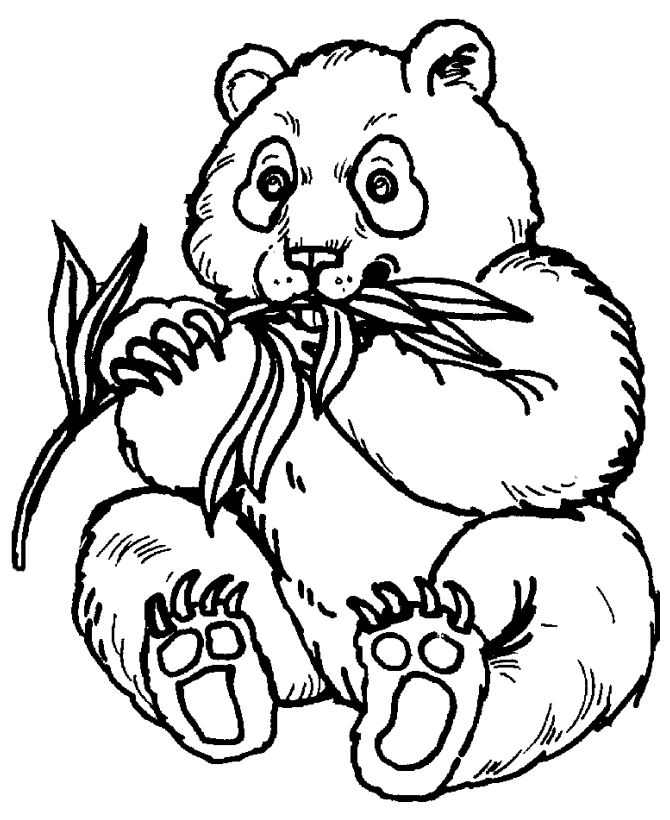 Panda Eating Colouring Pages
