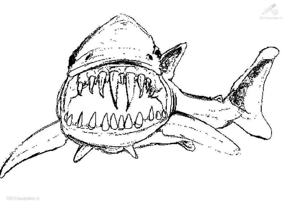 Coloring Pages Of Sharks - Free Coloring Pages For KidsFree 