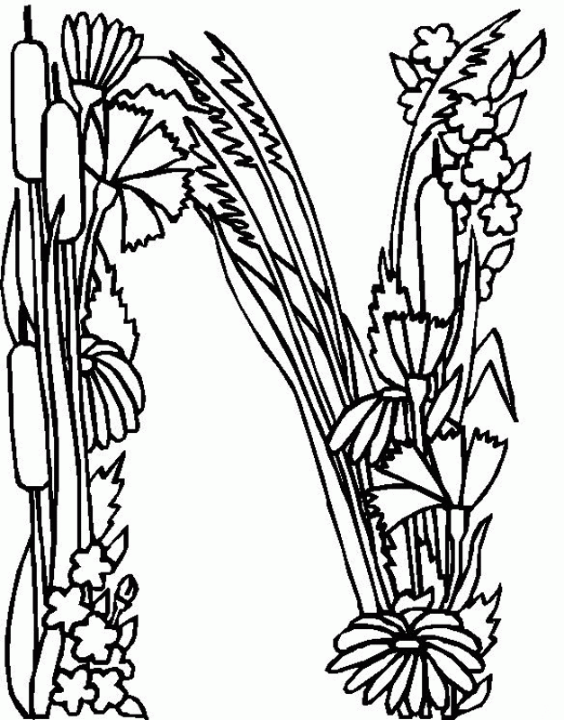 Alphabet Flower N Coloring Pages | Free Printable Coloring Pages 