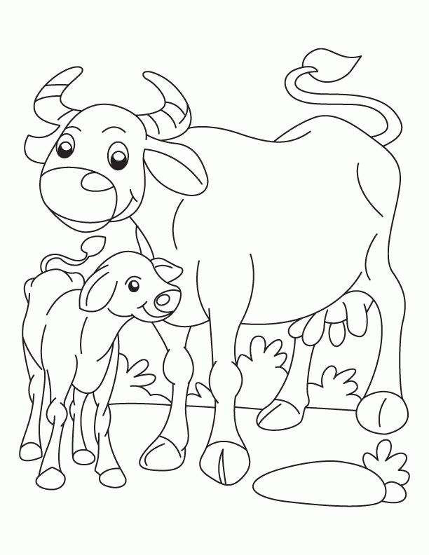 Buffalo and Calf coloring page | Download Free Buffalo and Calf 
