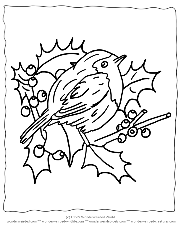 Free Printable Christmas Coloring Pages Birds, Echo's Christmas 