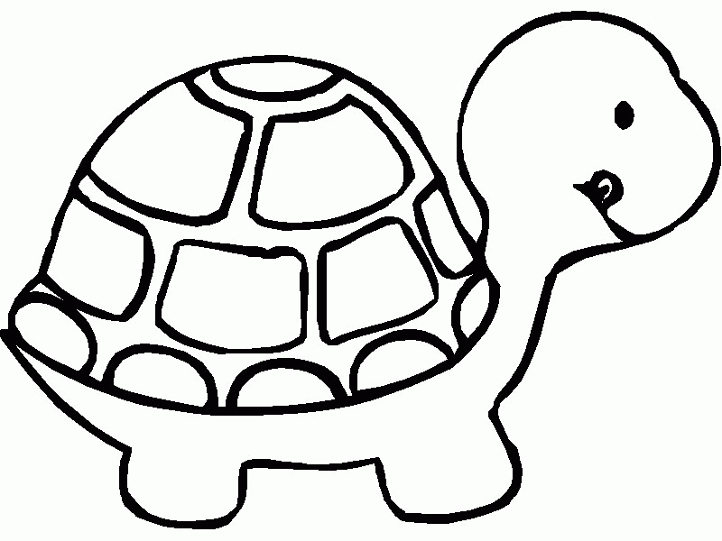 Printable Turtle - KidsColoringSource.