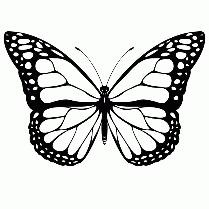 Monarch Butterfly Coloring Pages Print