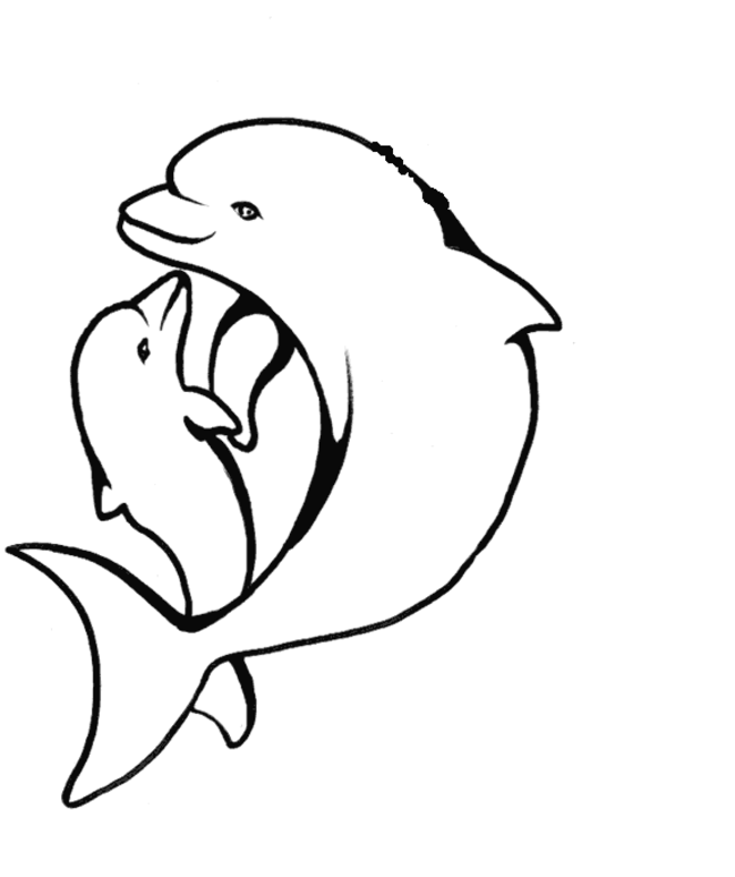 dolphin heart coloring pages