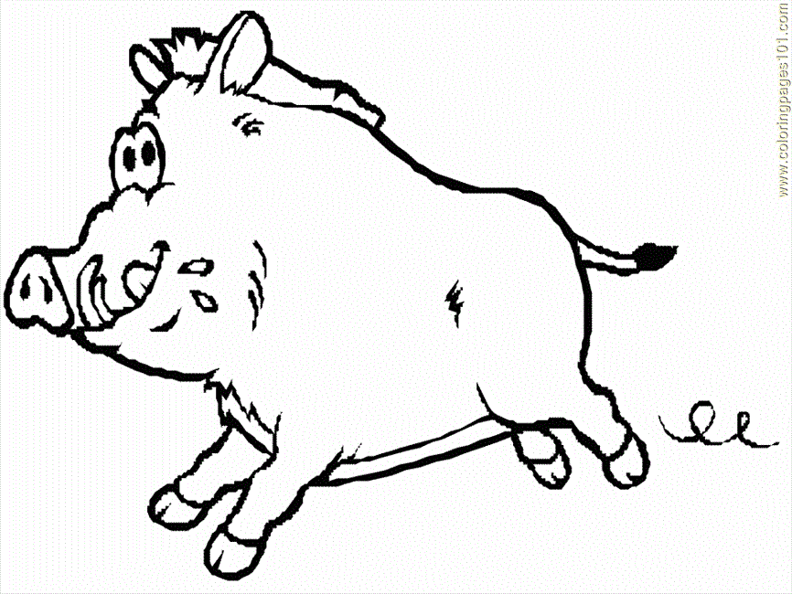 Coloring Pages Pigs (Mammals > Pigs) - free printable coloring 