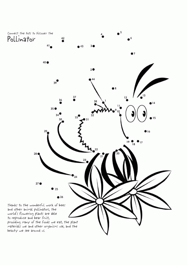 Bee Coloring Pages | Free coloring pages