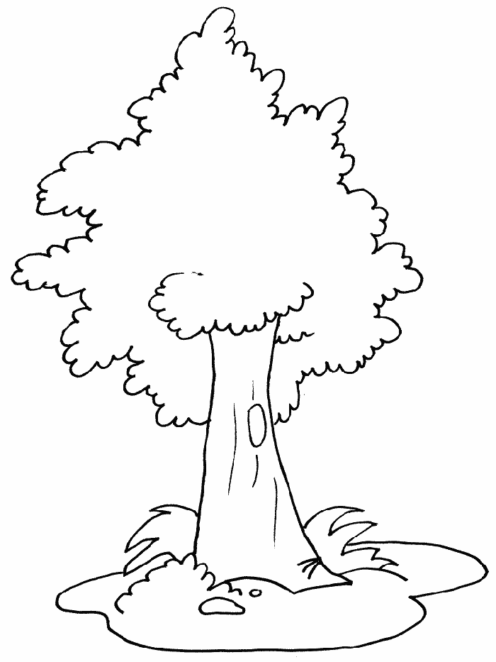 Tree Coloring Page – 700×933 Coloring picture animal and car also 