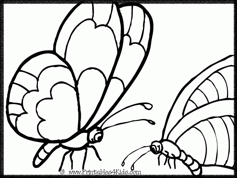 Free activity printable colouring pages – Butterflies