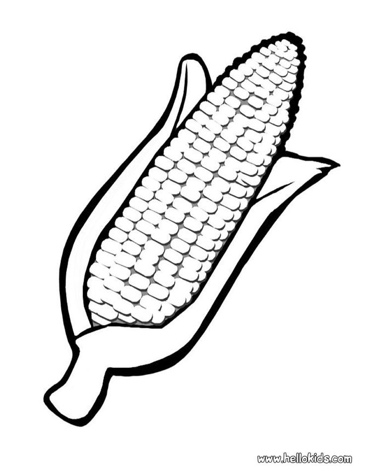 Indian Corn Coloring Page Coloring Home