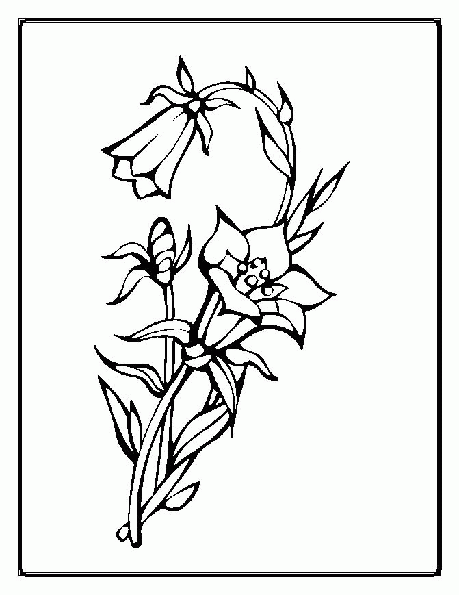 Flowers Coloring Page | HelloColoring.com | Coloring Pages