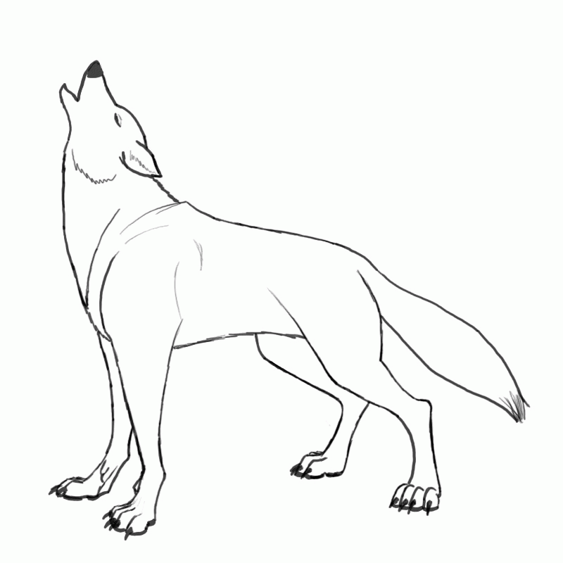 Coloring Pages A Wolf Howling - HD Printable Coloring Pages