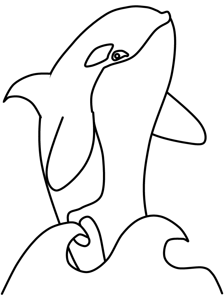 Orca coloring page