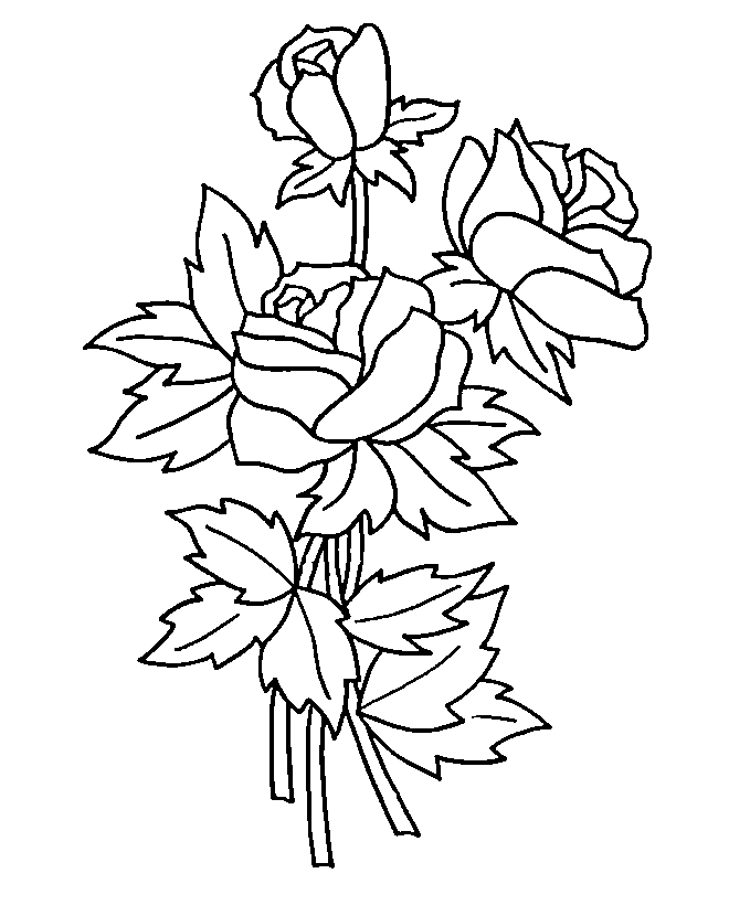 Rose Coloring Pages To Print - Free Printable Coloring Pages 