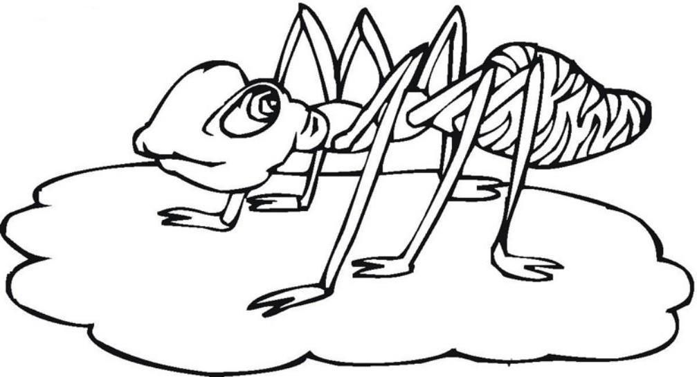 Beautiful Coloring Pages of Ant Insect ant-insect-coloring-page (9 