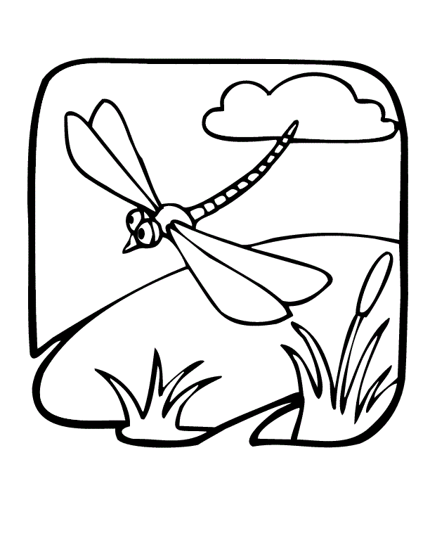 coloring-pages-of-dragonflies- 