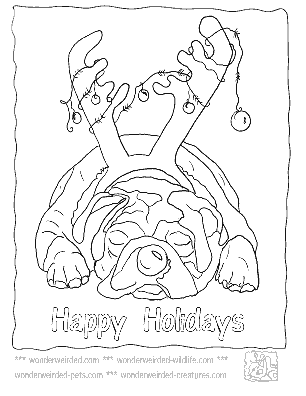 Christmas Dog Pictures to Color,Echo's Cartoon Dog Christmas 